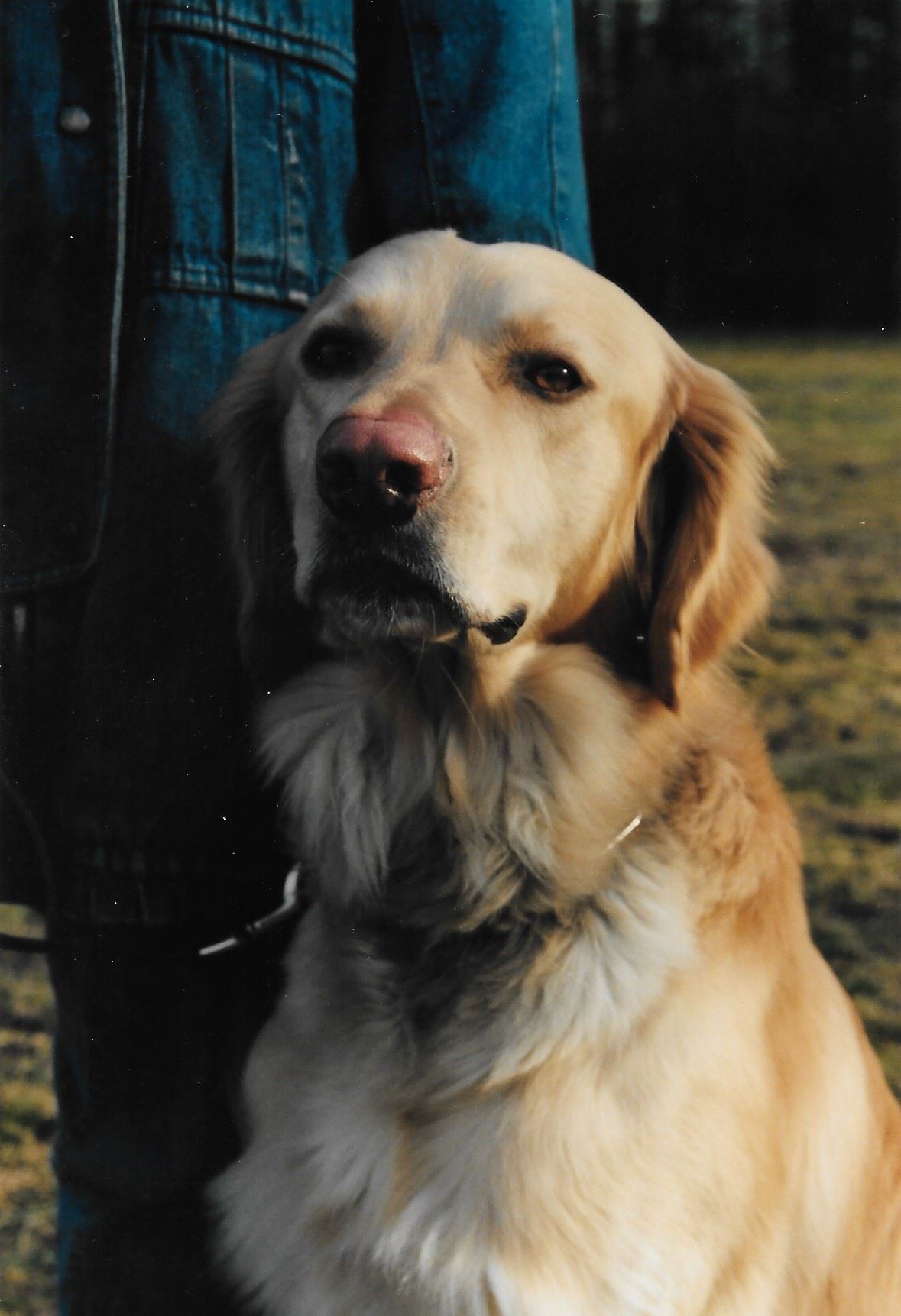 D-Wurf aus dem Emsland